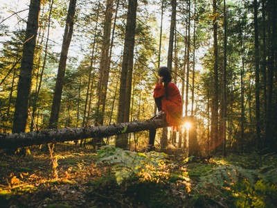 A girl sits on a fallen tree in the forest