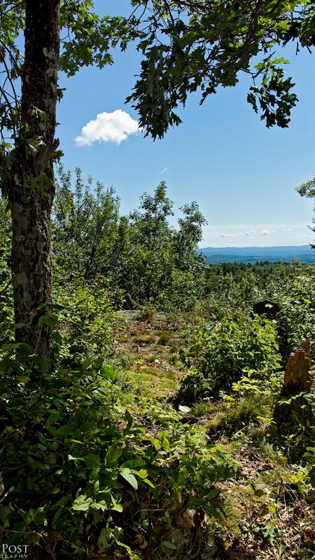 A trail in the Hersey Mountain Wilderness for hikers to view a lookout spot.