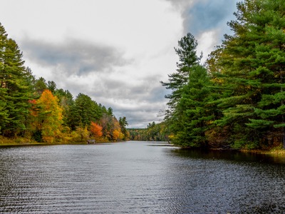 Forest and watershed in autumn at the Tri-City project in Massachusetts.