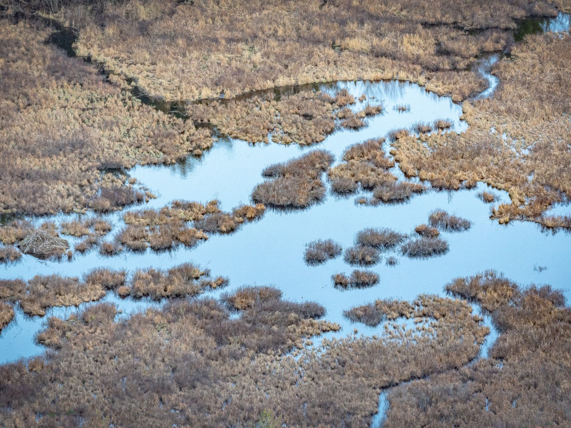 A marsh view of Eagle Mountain Wildlands by Brendan Wilste. 