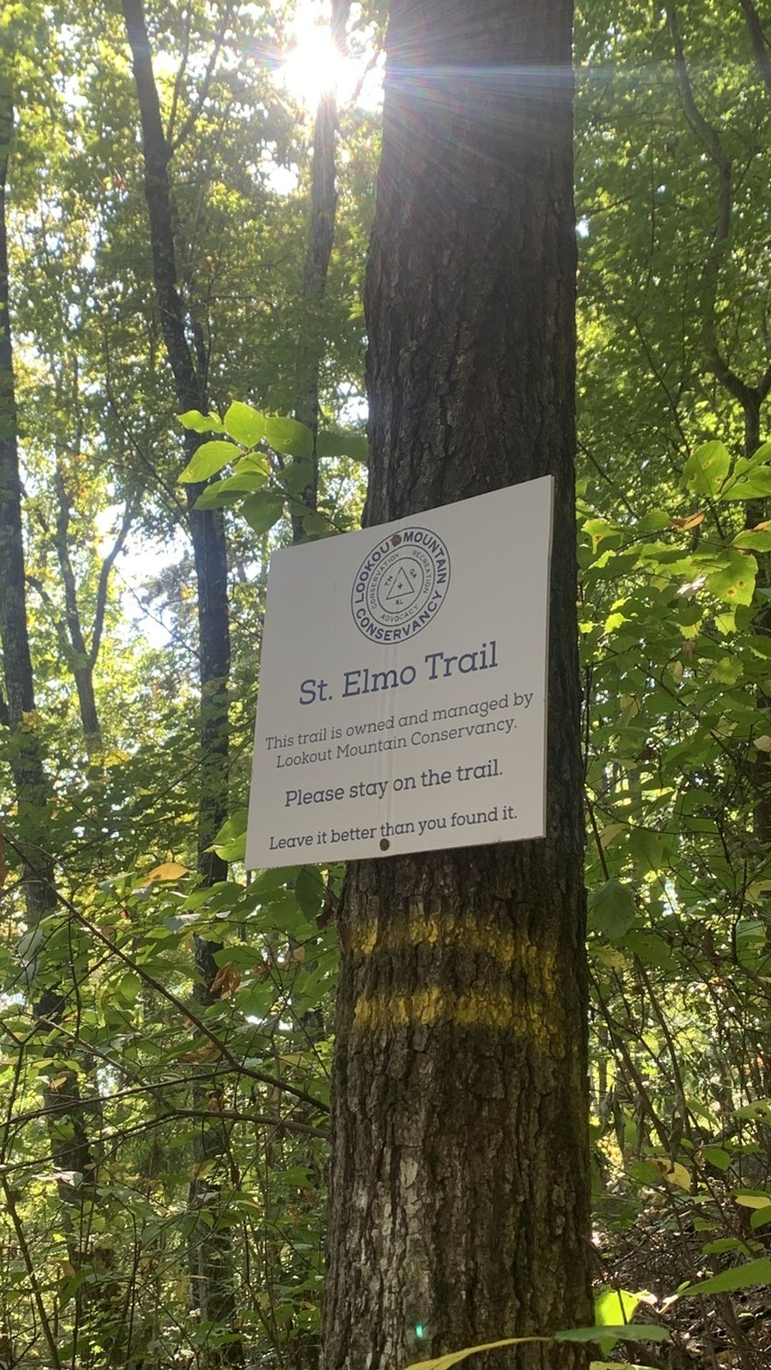 A photo of a trail sign on the St. Elmo Forest Preservation at Lookout Mountain.