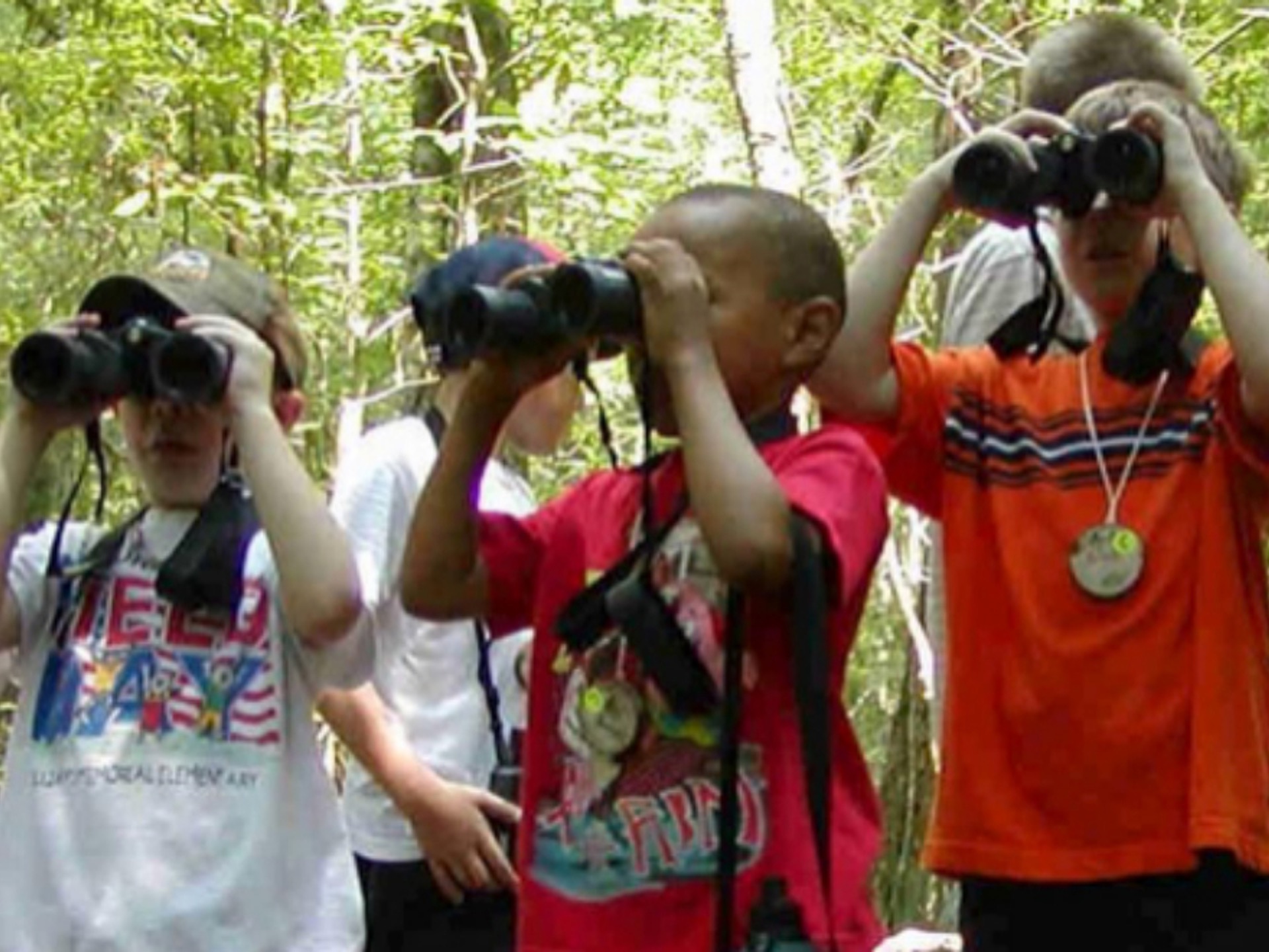 Children exploring in the Audubon Francis Beidler Forest in South Carolina.